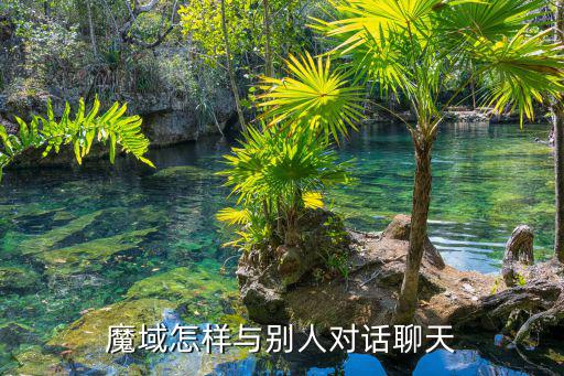 手游魔域怎么说话带花，魔域游戏说话的花删掉