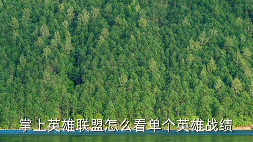 掌上英雄联盟怎么看单个英雄战绩