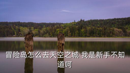 冒险岛怎么去天空之城 我是新手不知道呵