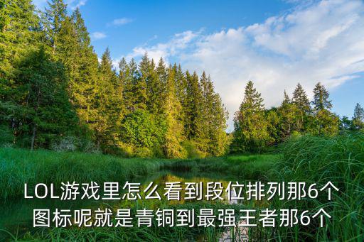 LOL游戏里怎么看到段位排列那6个图标呢就是青铜到最强王者那6个