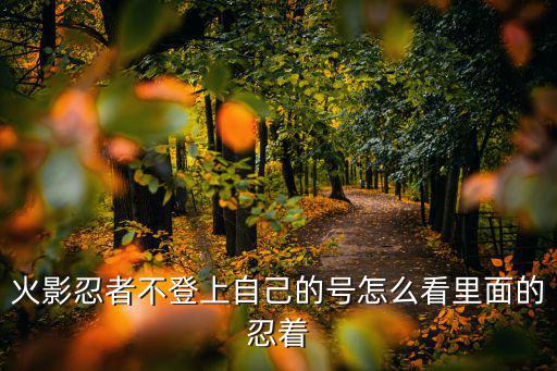 火影忍者不登上自己的号怎么看里面的忍着