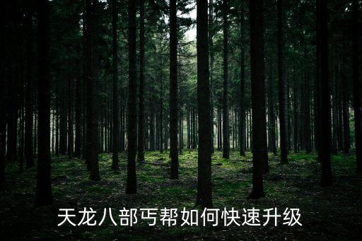 天龙八部丐帮如何快速升级