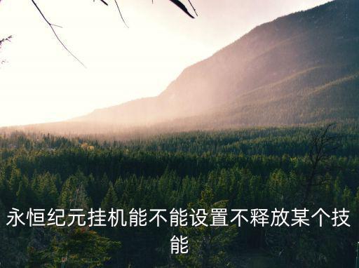 永恒纪元挂机能不能设置不释放某个技能
