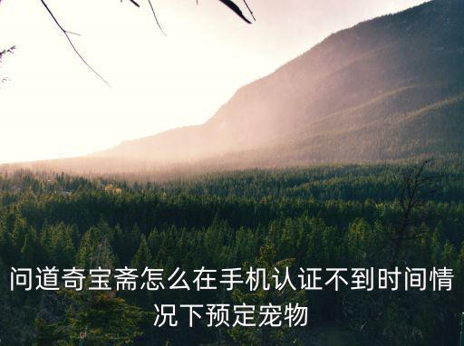 问道奇宝斋怎么在手机认证不到时间情况下预定宠物