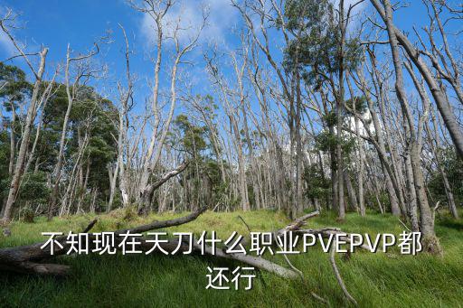 不知现在天刀什么职业PVEPVP都还行