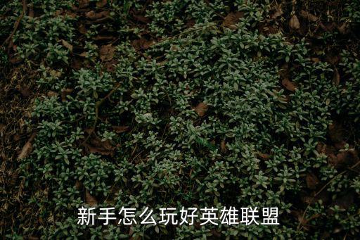 联盟手游新英雄怎么玩好，英雄联盟新手怎么玩