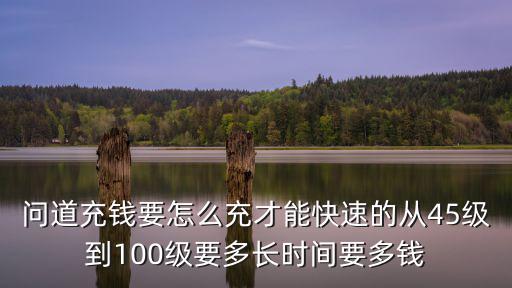 问道充钱要怎么充才能快速的从45级到100级要多长时间要多钱
