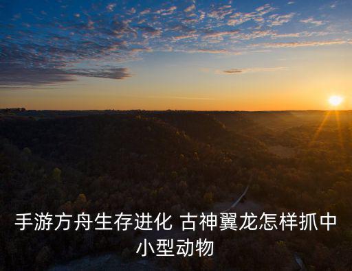 方舟手游四龙怎么抓，方舟手游怎么抓迅猛龙