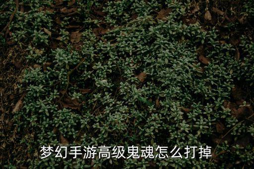 梦幻手游高级鬼魂怎么打掉