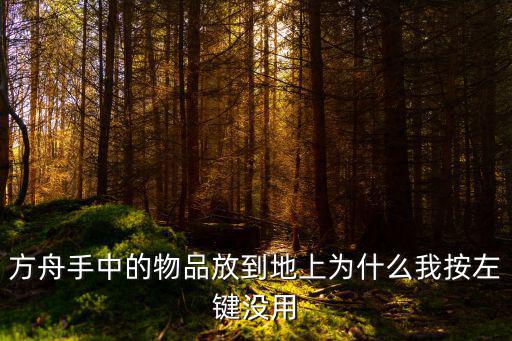 方舟手中的物品放到地上为什么我按左键没用