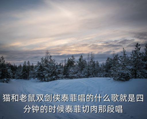 猫和老鼠双剑侠泰菲唱的什么歌就是四分钟的时候泰菲切肉那段唱