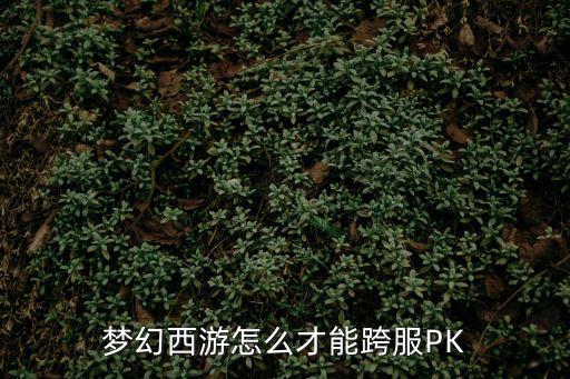 梦幻西游怎么才能跨服PK