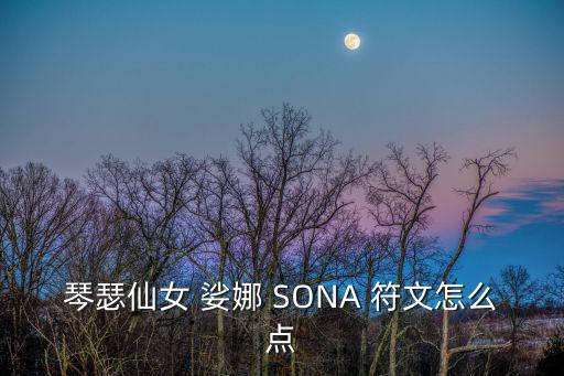 琴瑟仙女 娑娜 SONA 符文怎么点