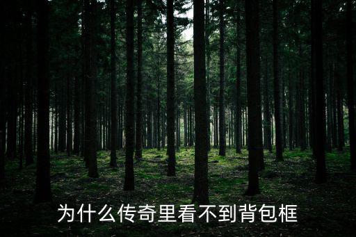 为什么传奇里看不到背包框