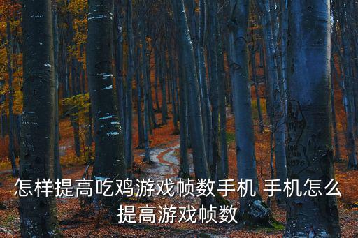 怎样提高吃鸡游戏帧数手机 手机怎么提高游戏帧数