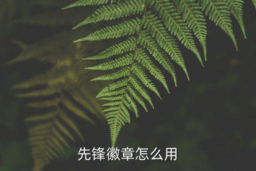 先锋徽章怎么用