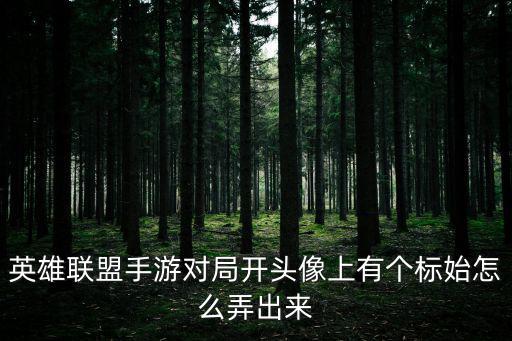 英雄联盟手游对局开头像上有个标始怎么弄出来