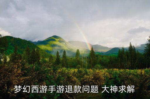 梦幻西游手游退款问题 大神求解
