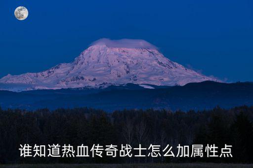 传奇手游自身属性点怎么加，谁知道热血传奇战士怎么加属性点
