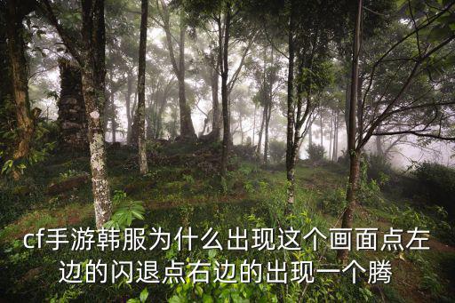 cf手游韩服为什么出现这个画面点左边的闪退点右边的出现一个腾