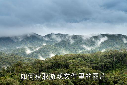如何获取游戏文件里的图片