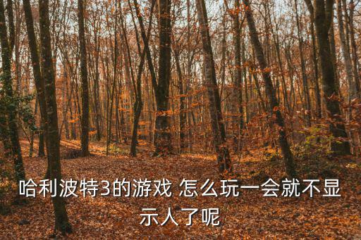 哈利波特手游怎么隐身看着别人，哈利波特3的游戏 怎么玩一会就不显示人了呢