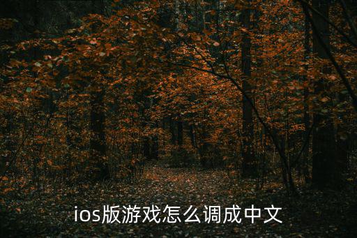 ios版游戏怎么调成中文