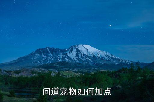 问道宠物如何加点
