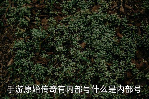 手游原始传奇有内部号什么是内部号