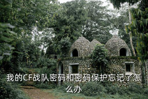 我的CF战队密码和密码保护忘记了怎么办