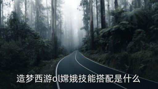 造梦西游ol嫦娥技能搭配是什么