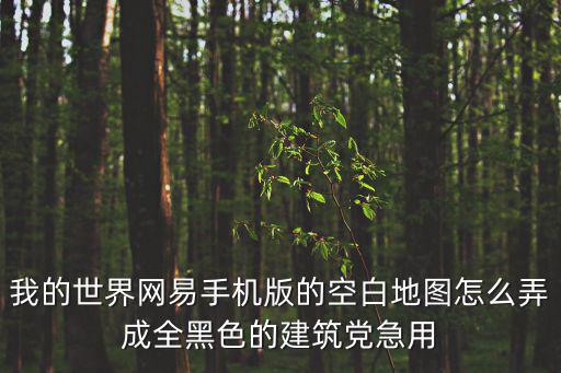 我的世界手游怎么在地图上放黑幕，我的世界手机版怎么放地图