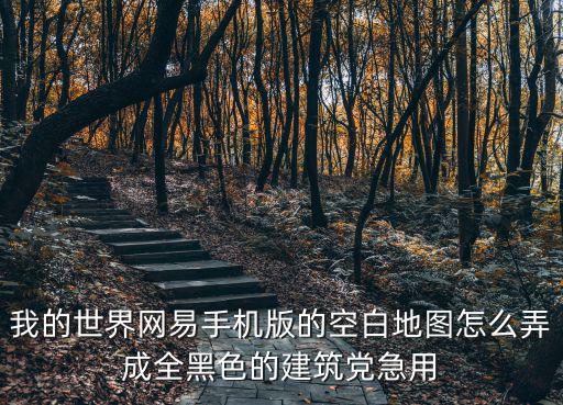 我的世界网易手机版的空白地图怎么弄成全黑色的建筑党急用