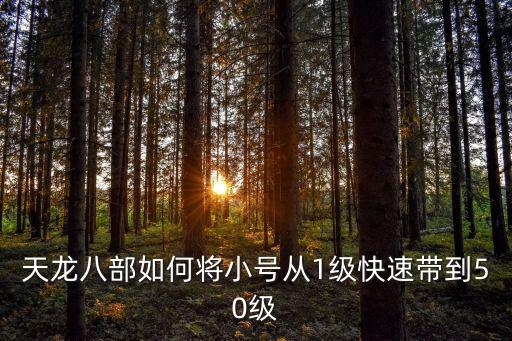 天龙八部如何将小号从1级快速带到50级