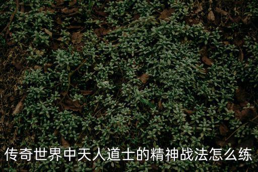 传奇世界中天人道士的精神战法怎么练