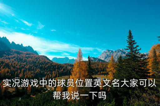 实况游戏中的球员位置英文名大家可以帮我说一下吗