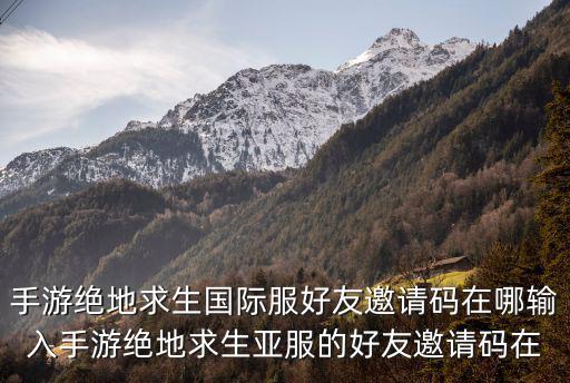 手游绝地求生国际服好友邀请码在哪输入手游绝地求生亚服的好友邀请码在