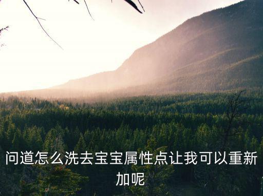 问道怎么洗去宝宝属性点让我可以重新加呢