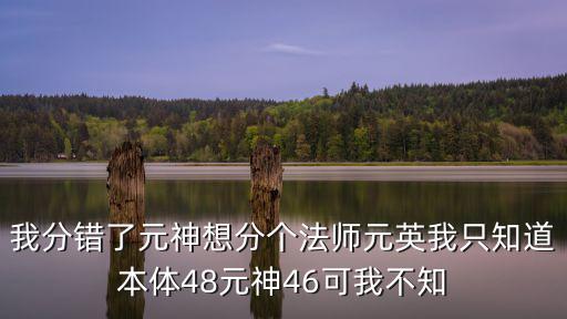 我分错了元神想分个法师元英我只知道本体48元神46可我不知