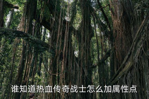 谁知道热血传奇战士怎么加属性点