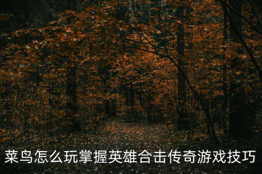 菜鸟怎么玩掌握英雄合击传奇游戏技巧
