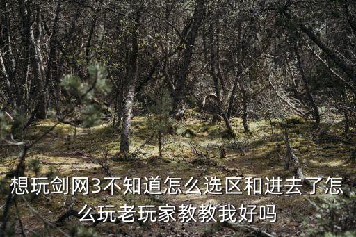 想玩剑网3不知道怎么选区和进去了怎么玩老玩家教教我好吗