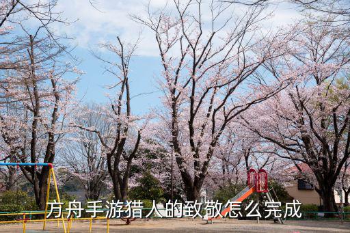 方舟手游猎人的致敬怎么完成