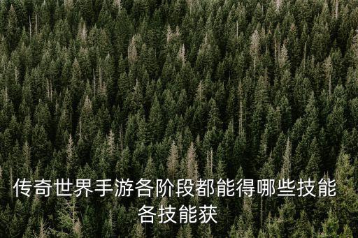 传奇世界手游各阶段都能得哪些技能 各技能获