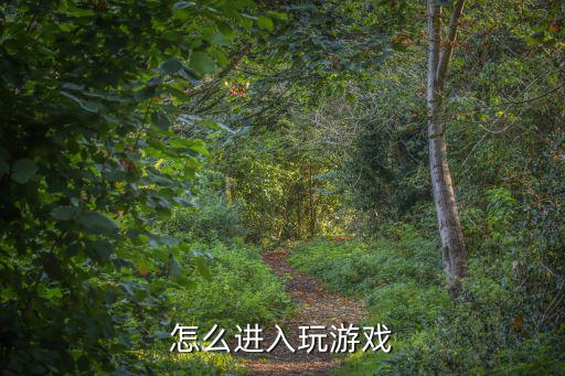 怎么进入玩游戏