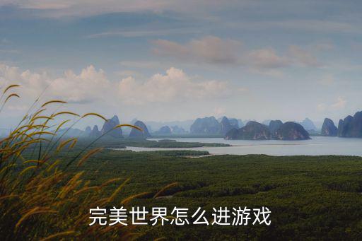 完美世界怎么进游戏