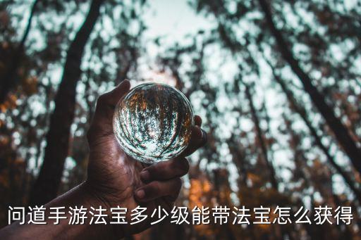 问道手游普陀法宝怎么得，问道手游的游戏里面法宝是怎么获得的