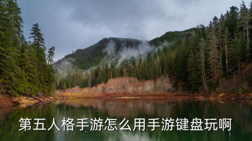 第五人格手游怎么用手游键盘玩啊