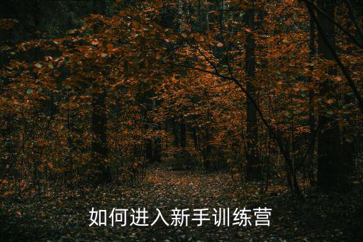 如何进入新手训练营