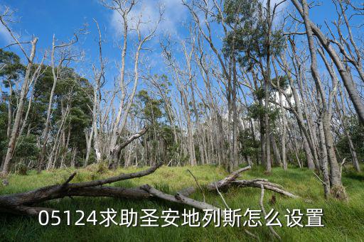 05124求助圣安地列斯怎么设置